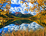 autumn's aperture