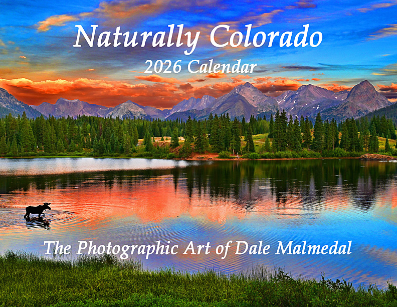 calendar cover