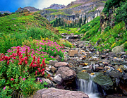 yankee boy basin