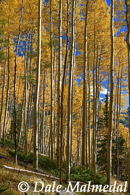 boulder mountain autumn