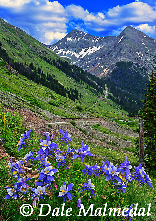 Columbine Mountain
