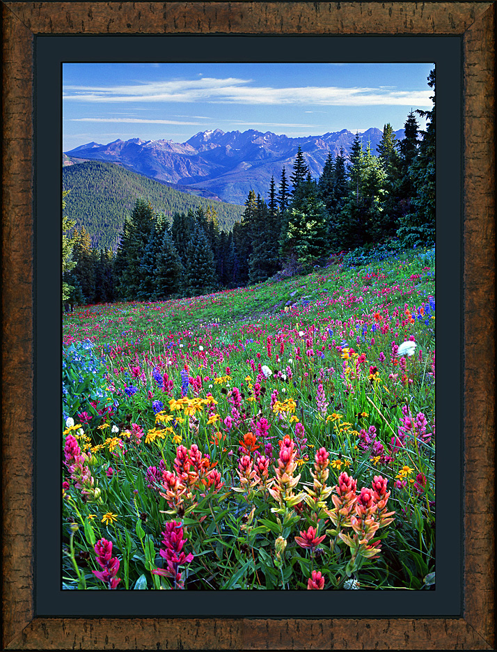 framed gore range bouquet