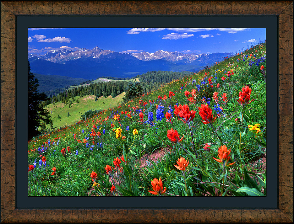 framed shrine ridge symphony