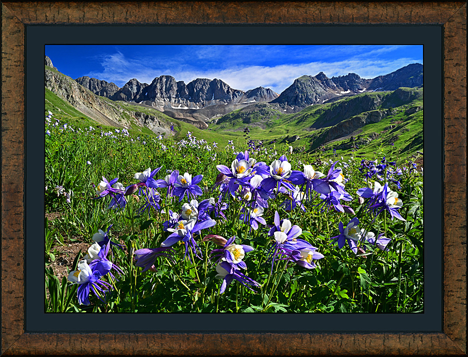 Framed American Basin Bouquet