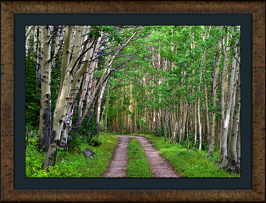 Framed Aspen Alley