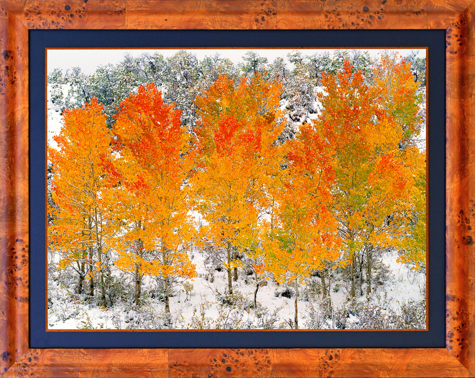 Framed Autumn Adieu LGB