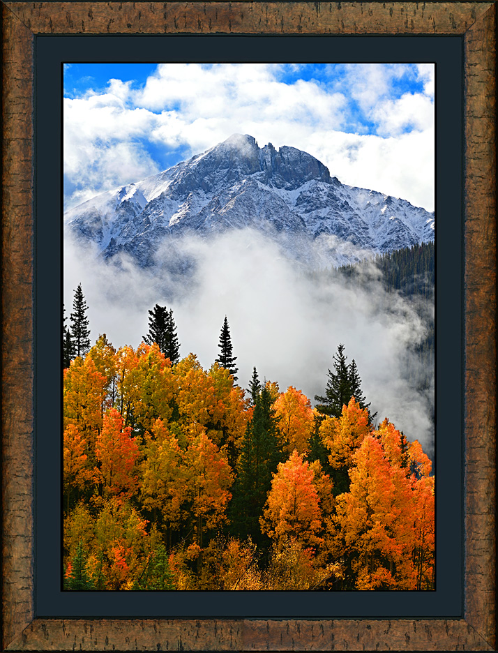 framed autumn majesty