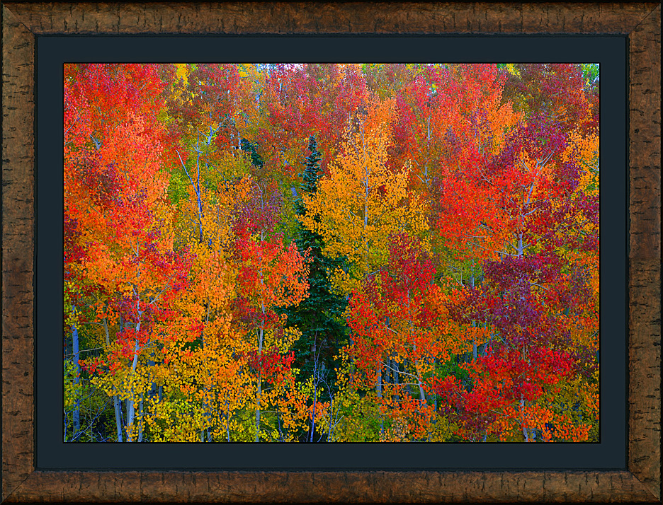 framed autumn's essence