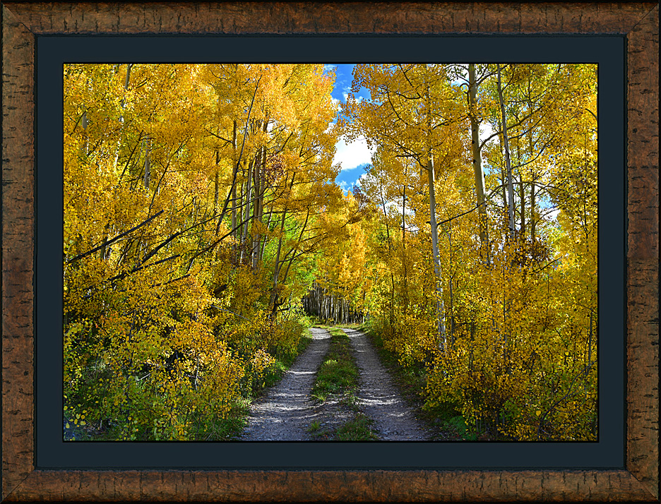 Framed Autumn's Path