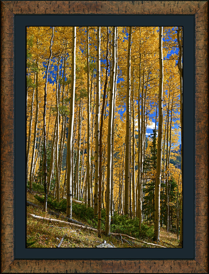 framed boulder mountain autumn