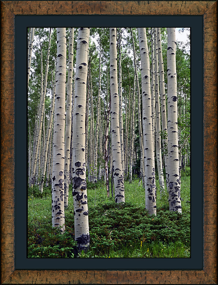 framed boulder mountain spring