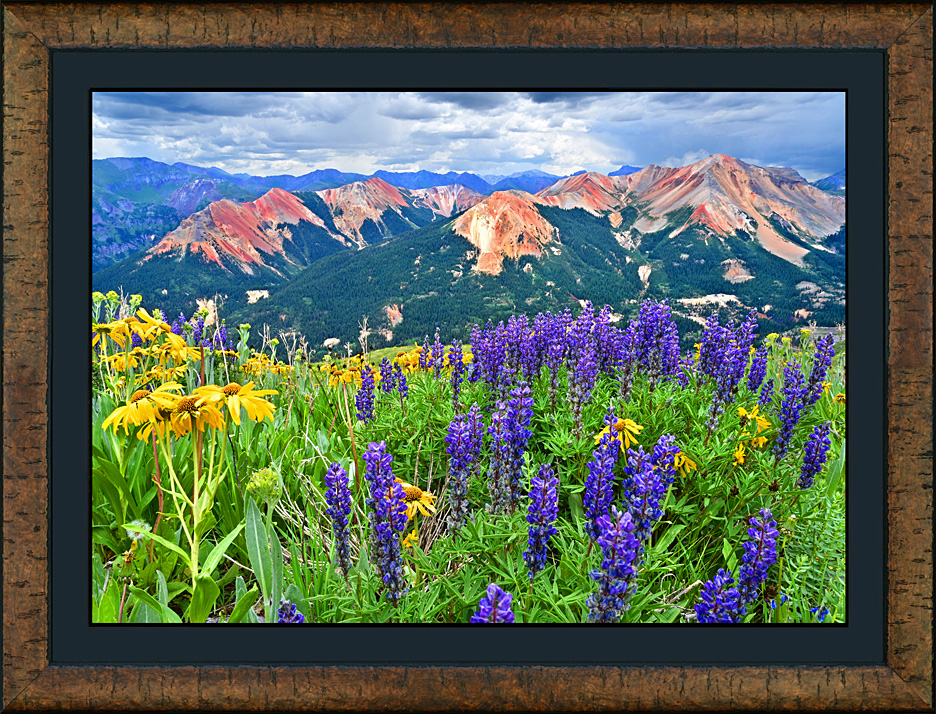 framed champion basin