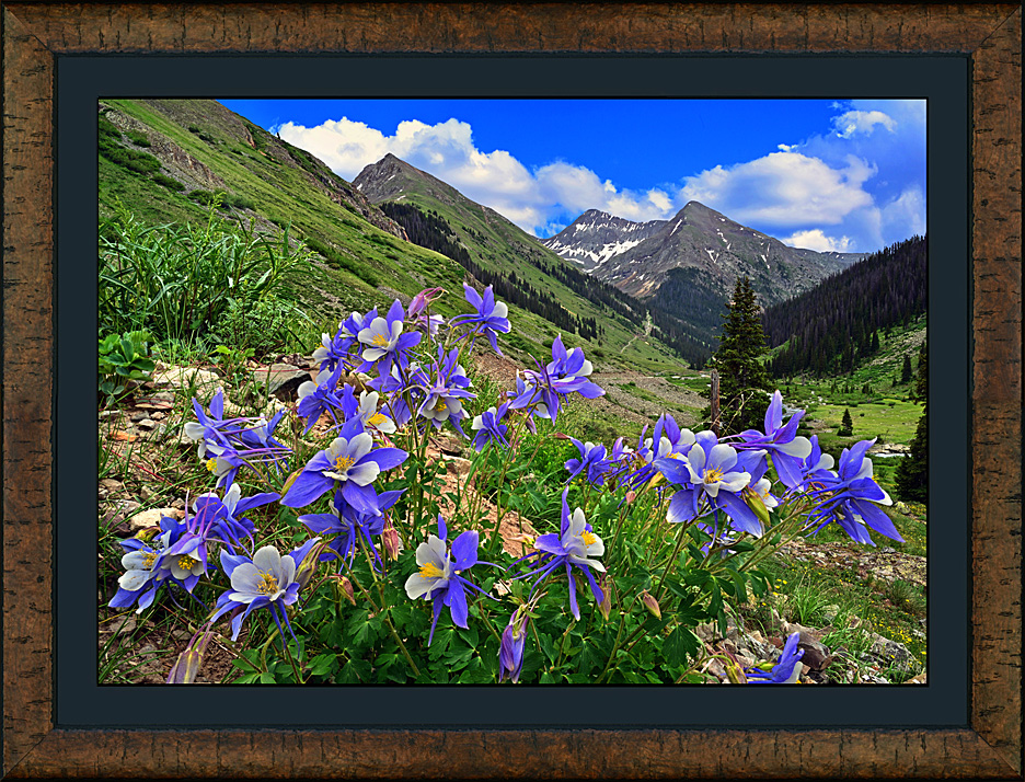 Framed Columbine Canyon