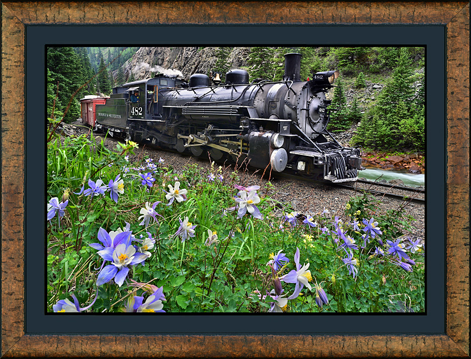 framed columbine express
