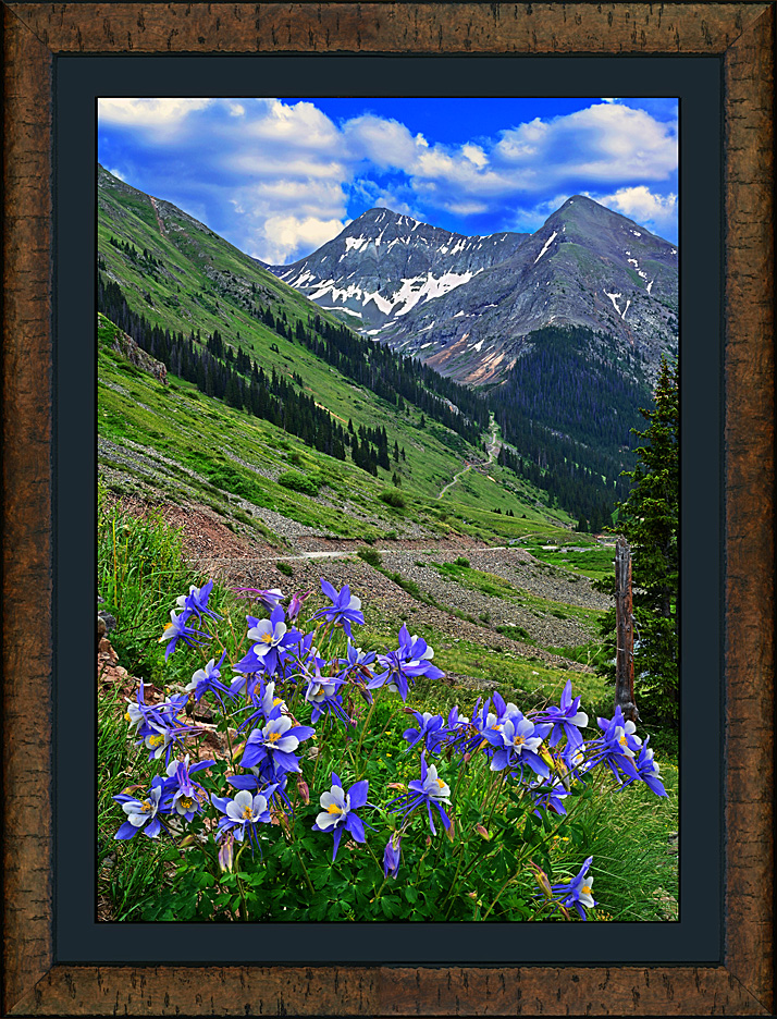 Framed Columbine Mountain