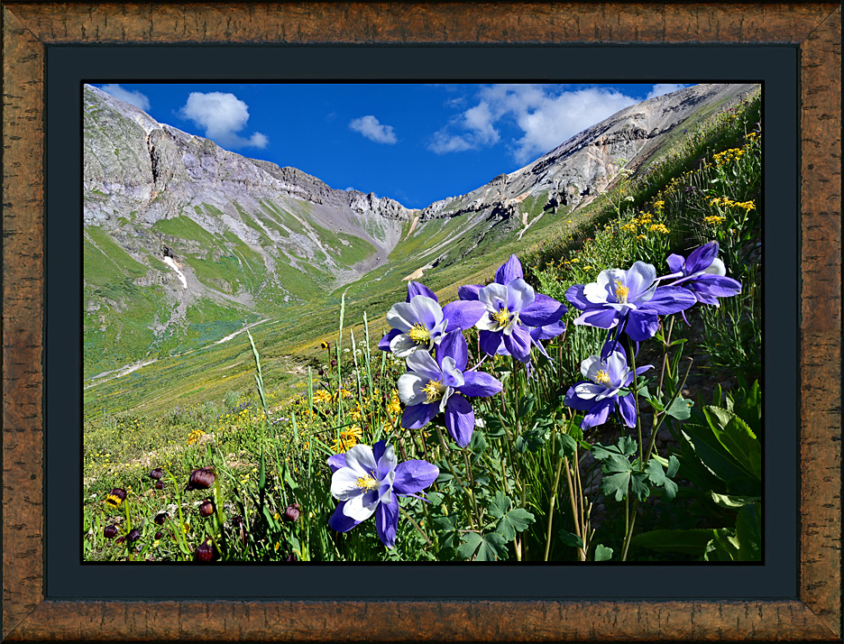 framed columbine spirit