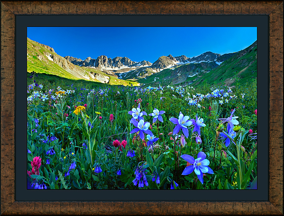 framed danse des fleurs