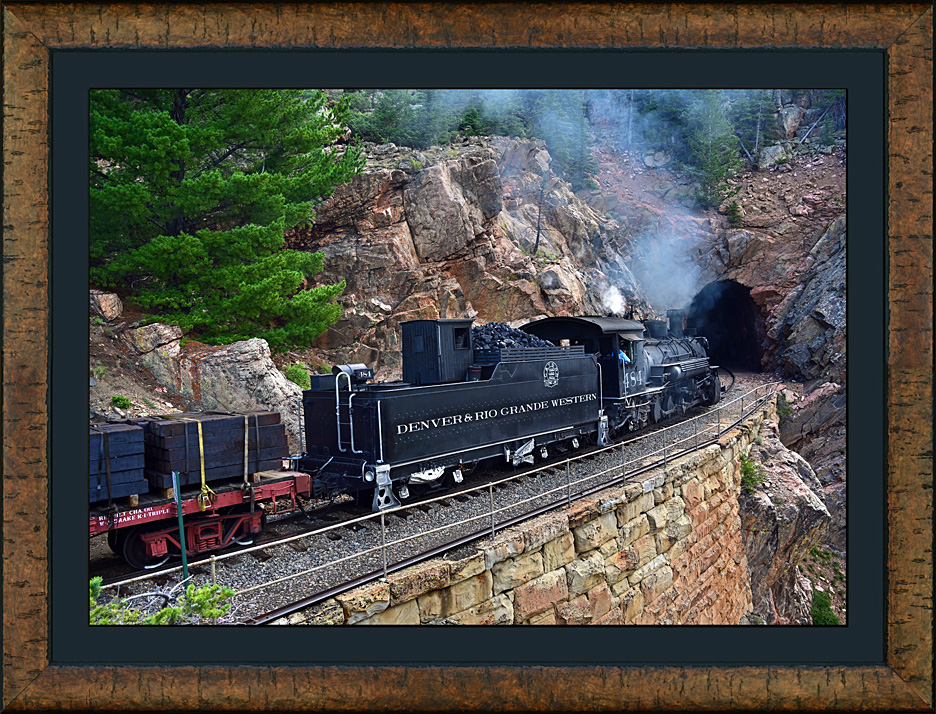 framed homeward bound