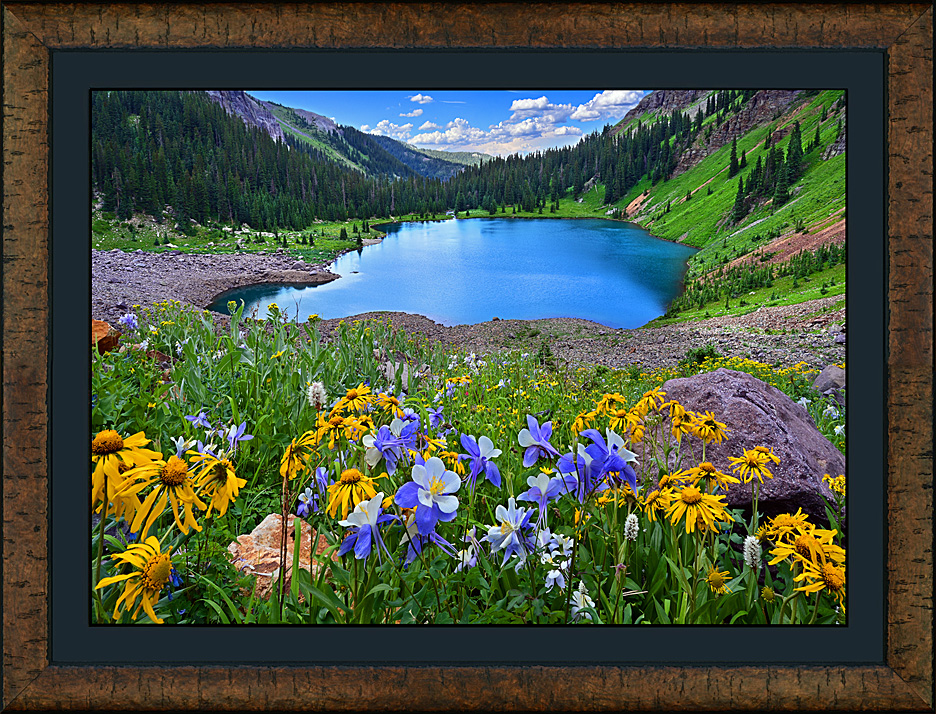 Framed Lower Blue Bouquet