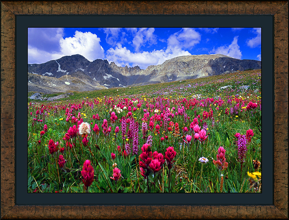 framed mccullough basin
