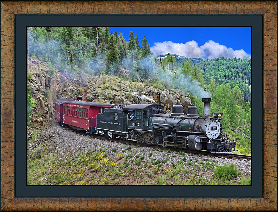 framed osier cuts