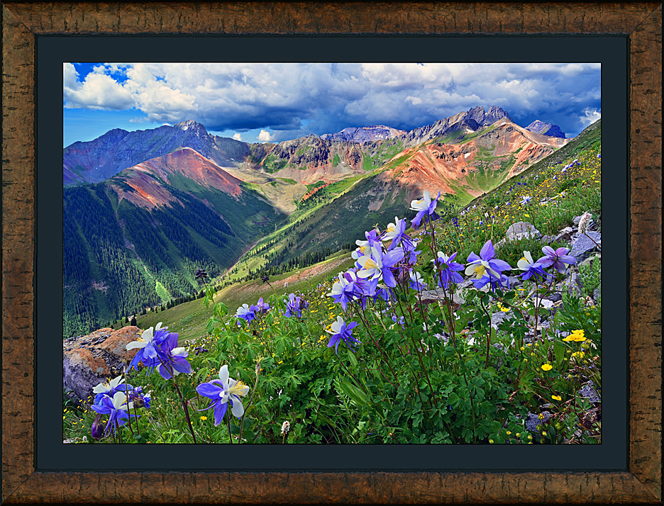 framed paradise basin