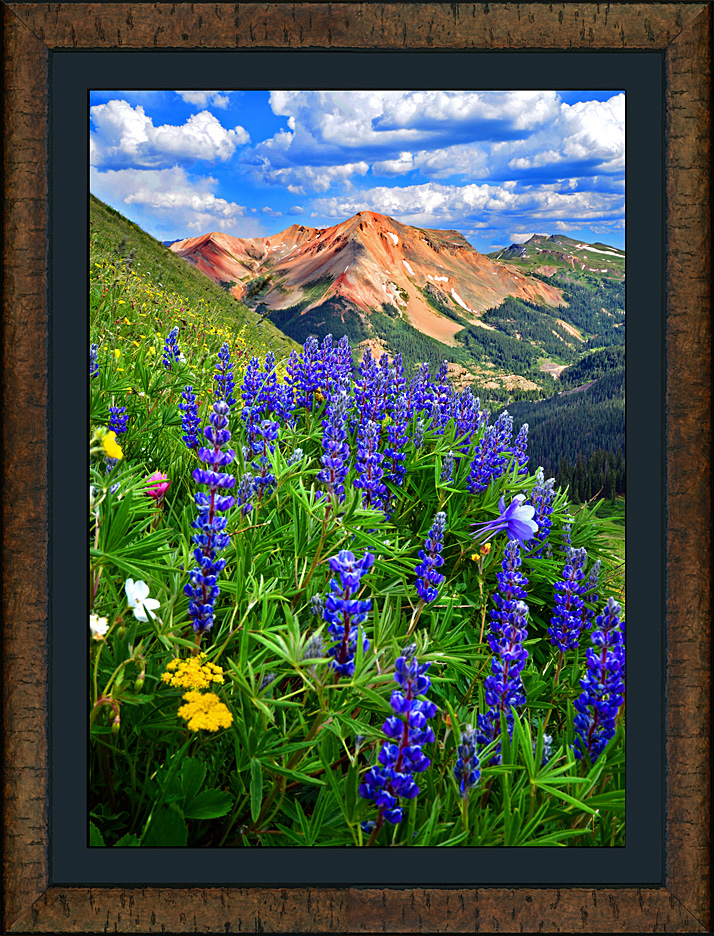 framed red mountain bouquet