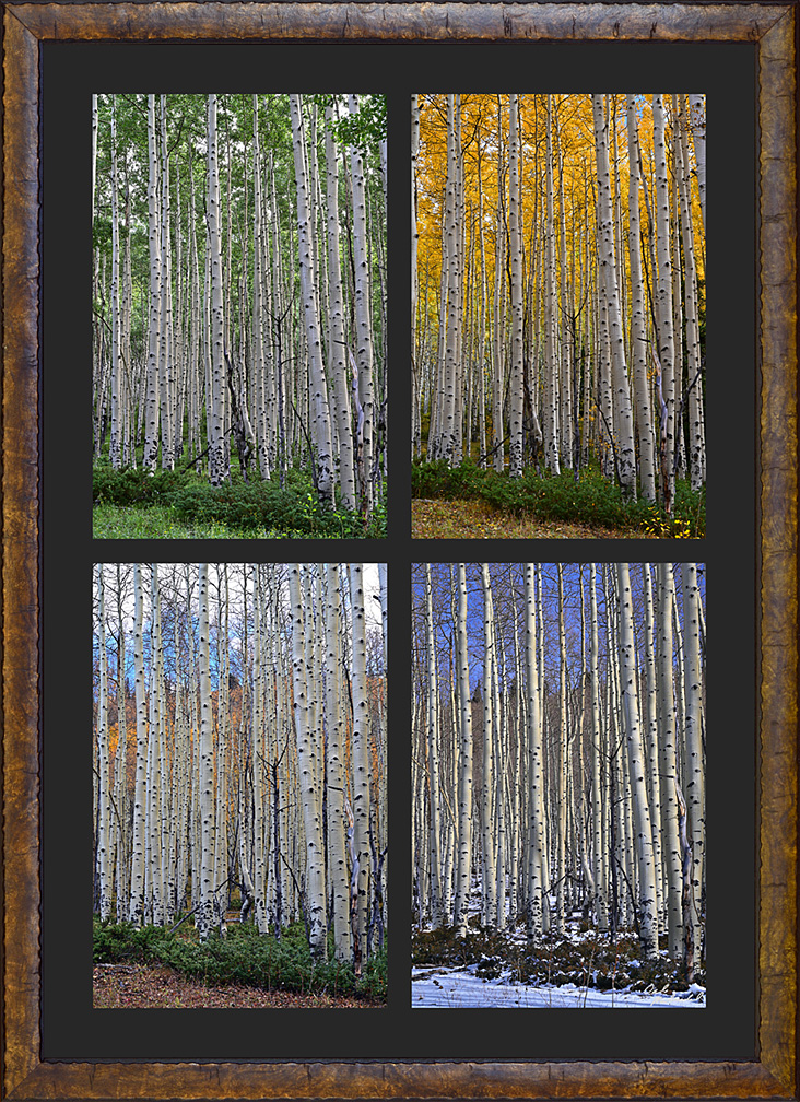 The Seasons - 4 season triptych