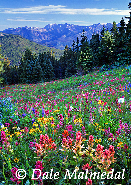 gore range bouquet