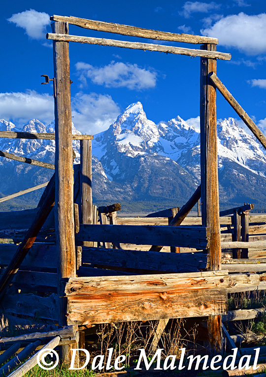 grand teton vista