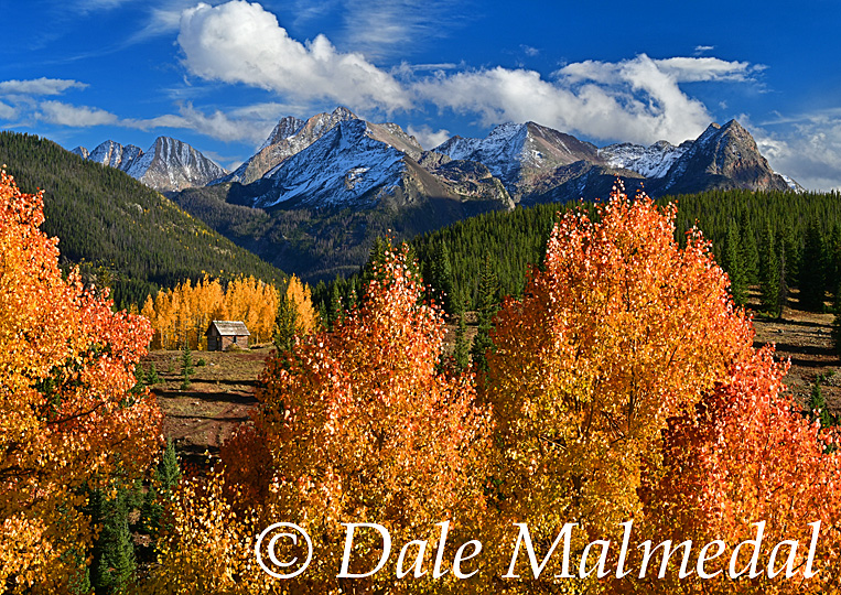 grenadier autumn