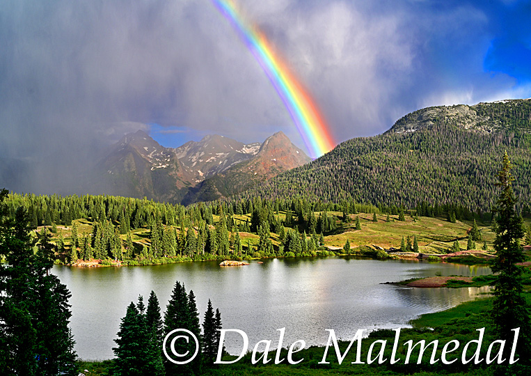 grenadier rainbow