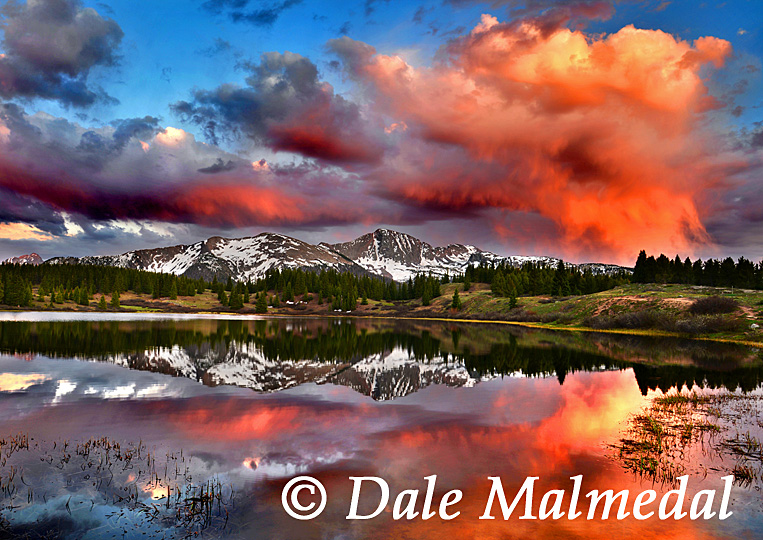 little molas reflections