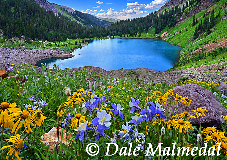 lower blue bouquet
