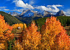grenadier autumn