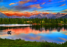 lonesome trek