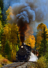 autumn special
