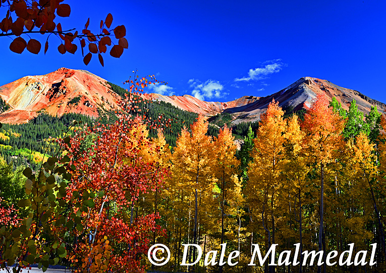 red mountain autumn