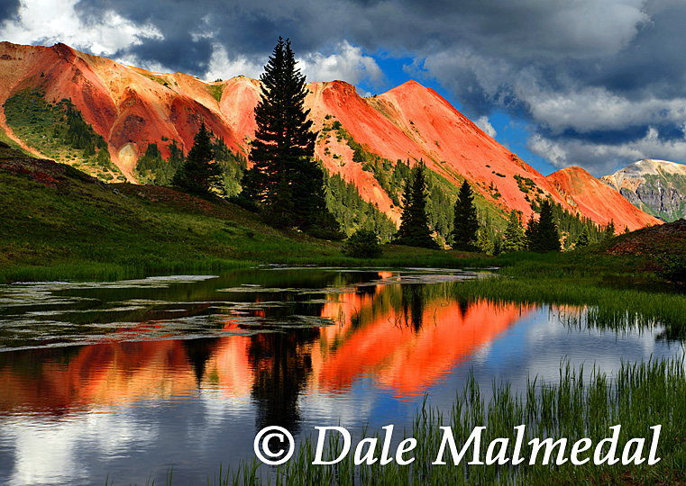 reflets en rouge
