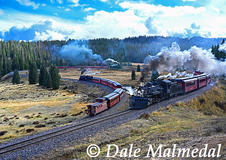 tanglefoot timelapse