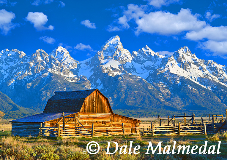 teton spring