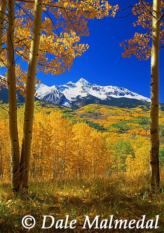 autumn's journey