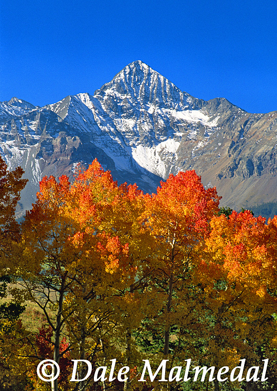 autumn's mantle
