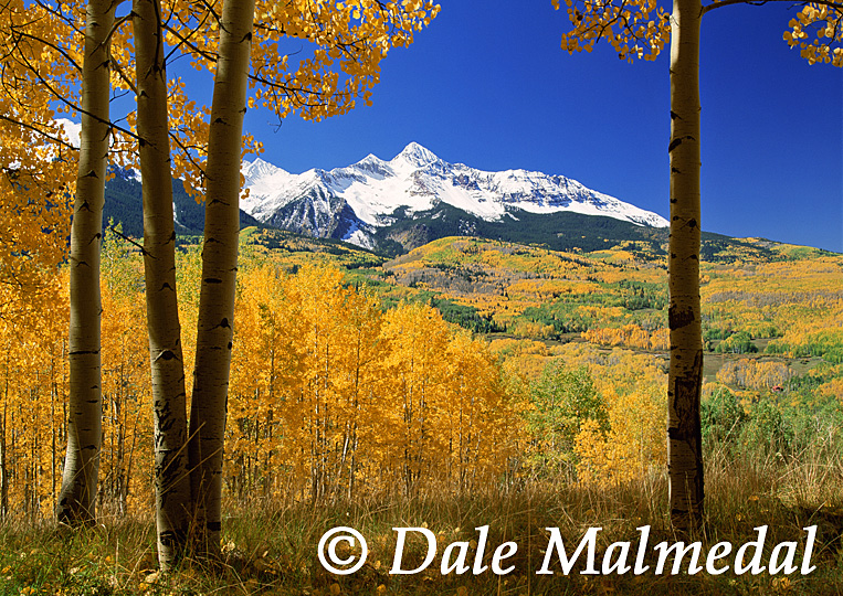 autumn's sojourn
