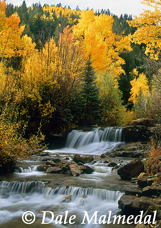 big bear creek