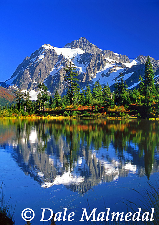 cascade reflections