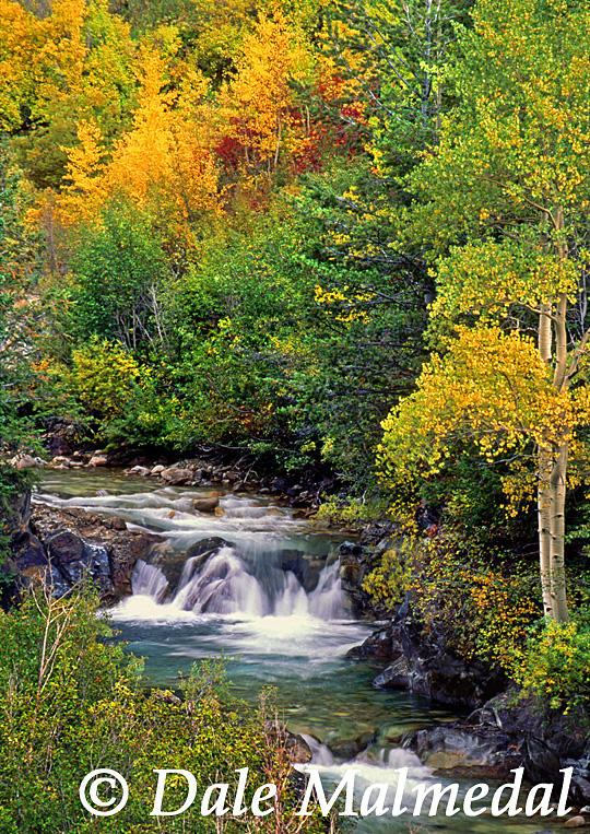 crystal river