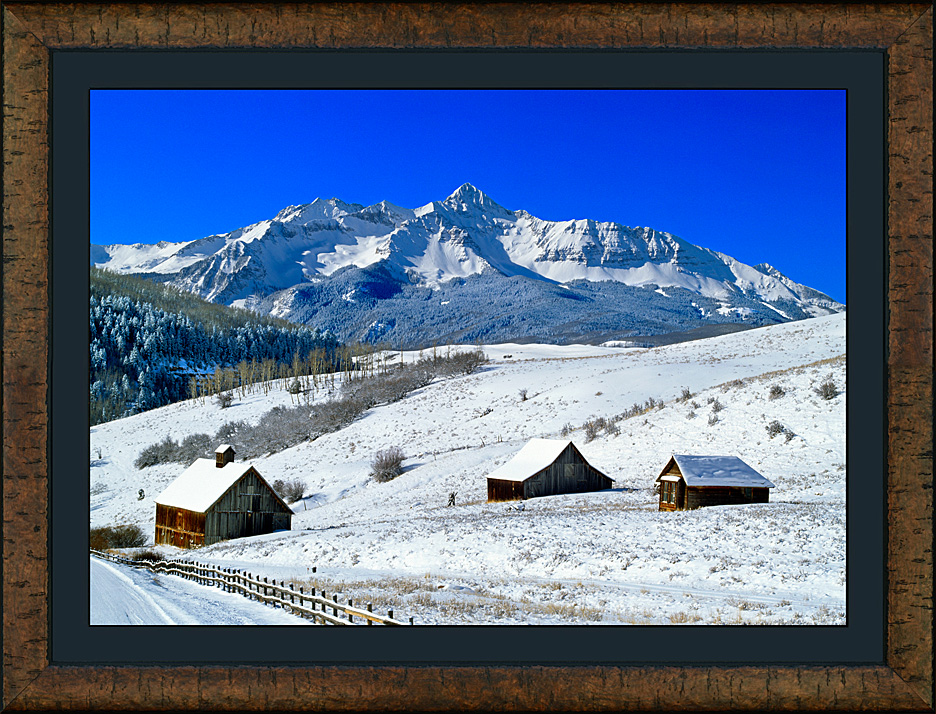 framed aldasoro winter