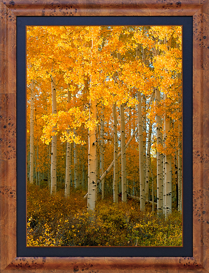 framed aspen glow - LGB