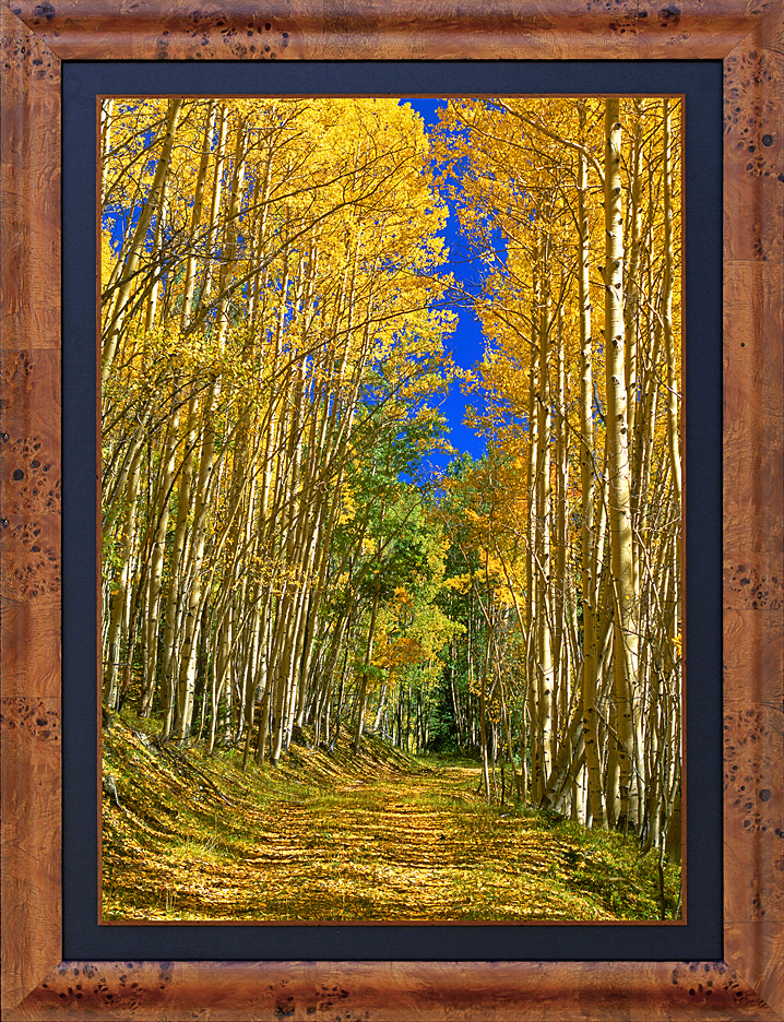 framed aspen road - LGB